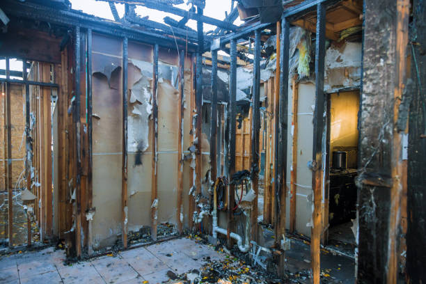 Professional Fire Damage Restoration technician working in Alexandria, VA